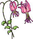 real faerie encounters - fairy flowers